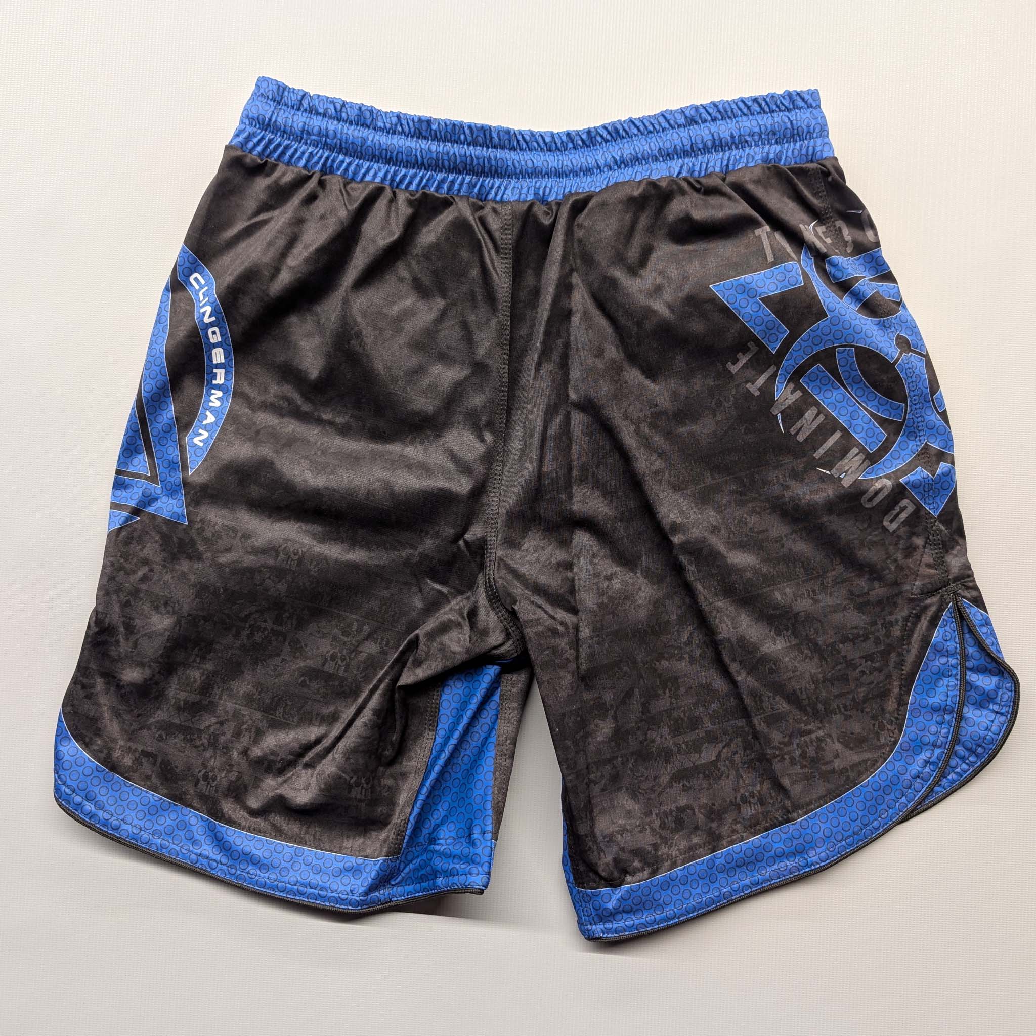 IBJJA Board Shorts - Ranked 2023 (Blue) - The Fight Hub
