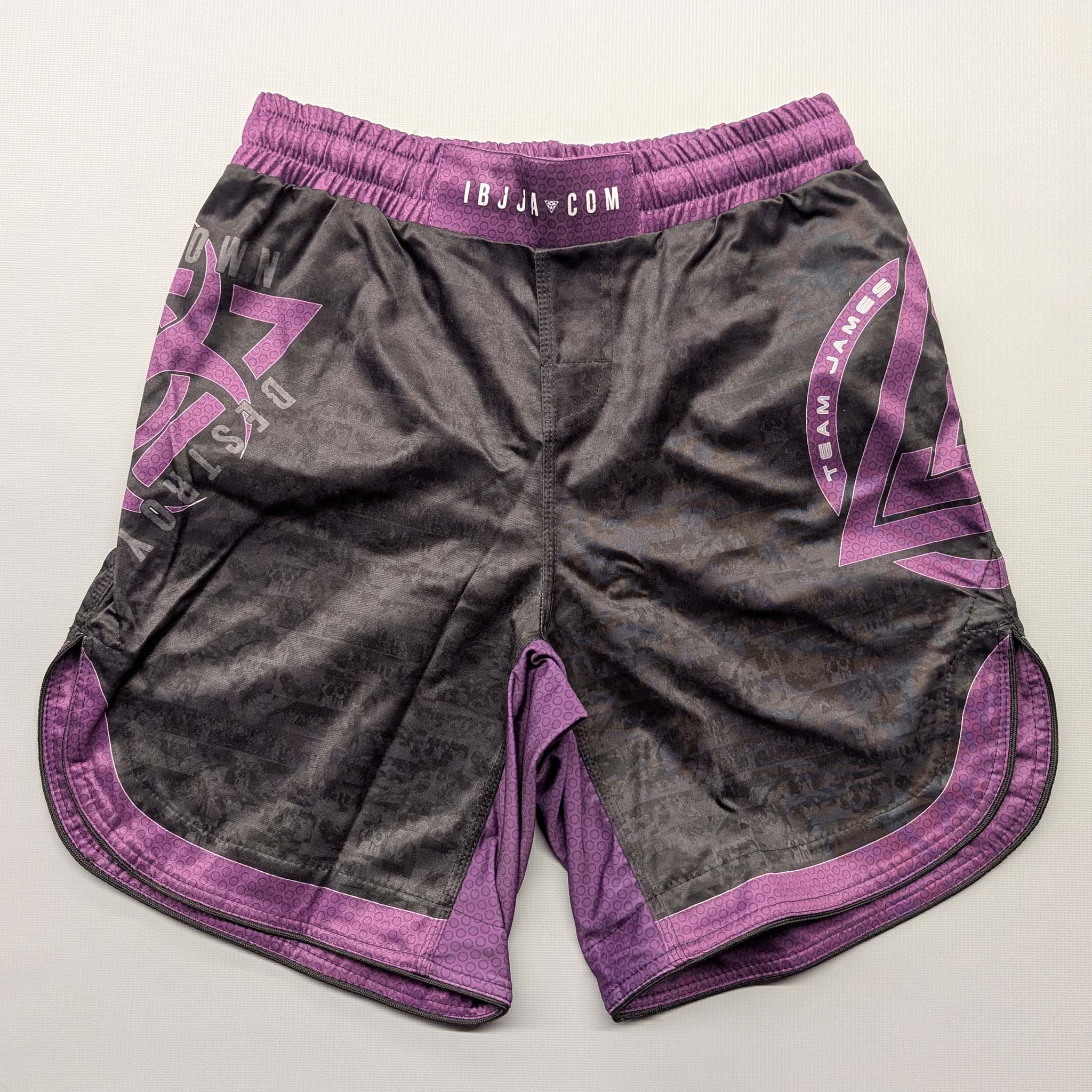 IBJJA Board Shorts - Ranked 2023 (Purple) - The Fight Hub