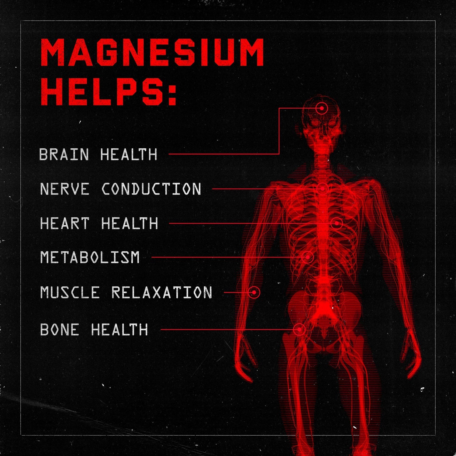 Jocko Fuel - Jocko Magnesium - The Fight Hub